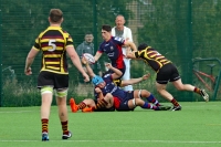 View the album Canton v Penarth - 7th September 2019