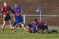 170121Llanishen-028.JPG